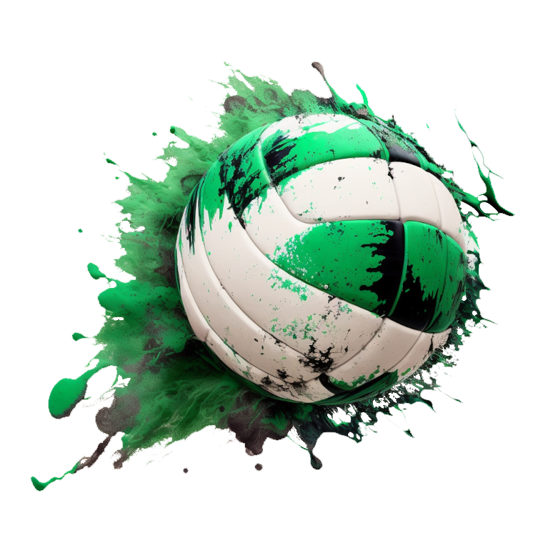 Logo Open Green Volley